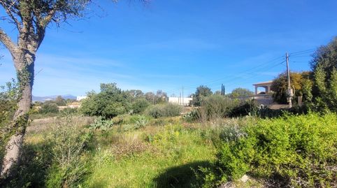 Foto 3 de Residencial en venda a Sa Cabaneta, Marratxí