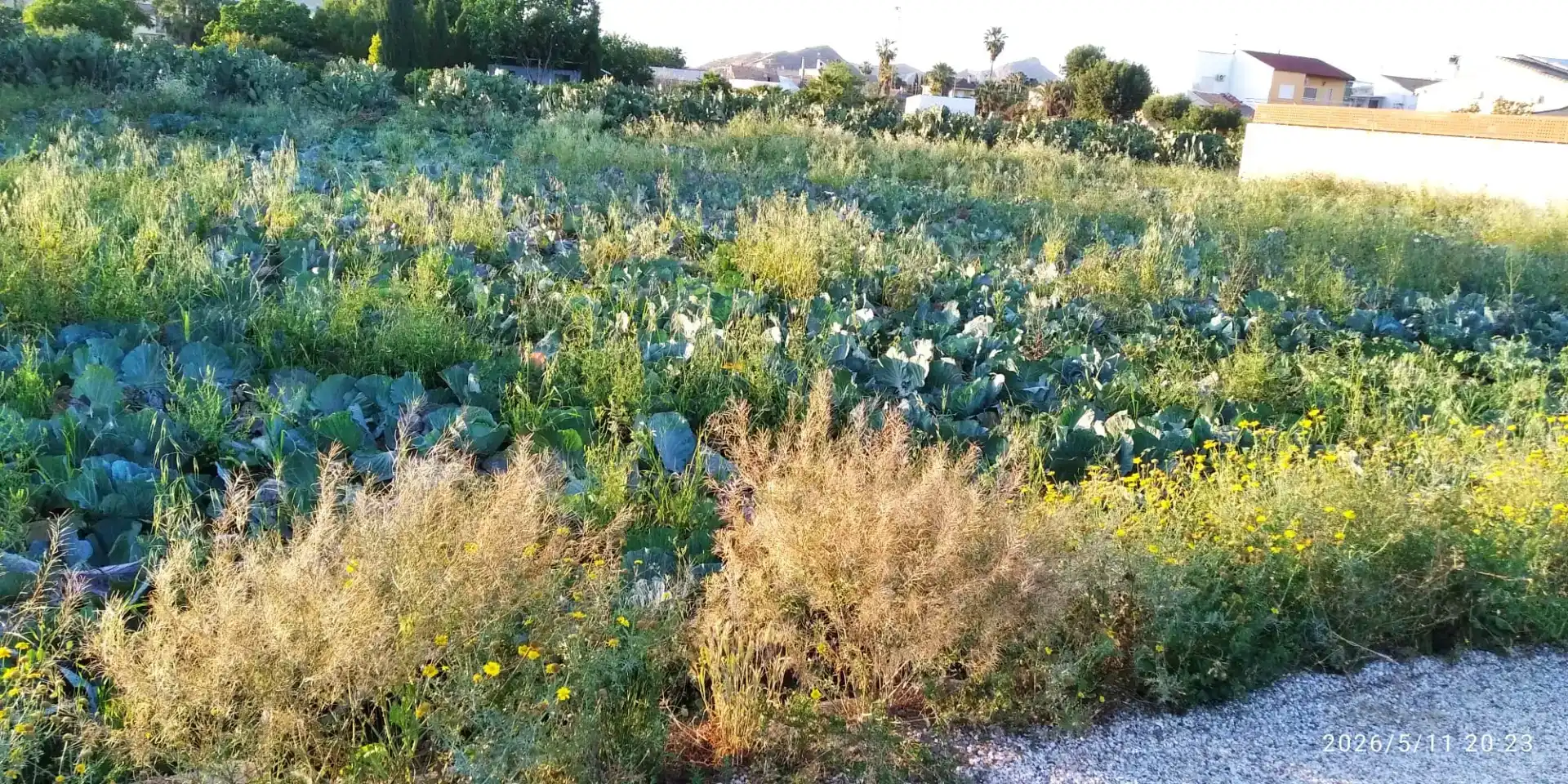 Garten von Grundstücke zum Verkauf in Murcia