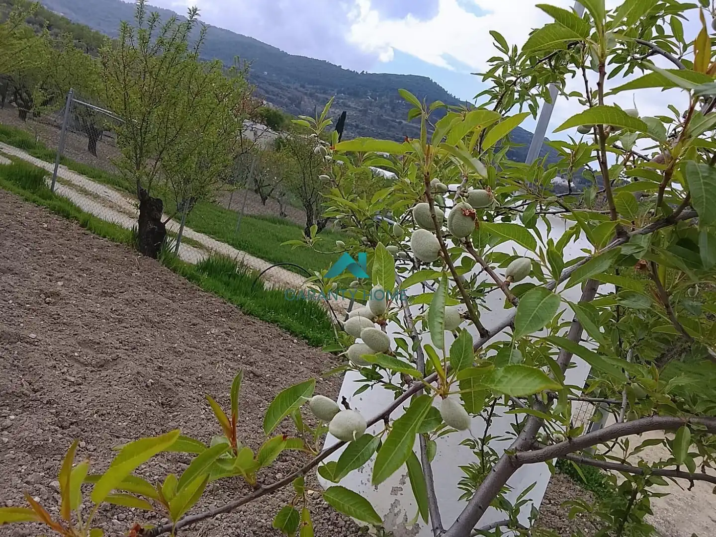 Terreni e lotti in vendita a Torredelcampo, imagen 6