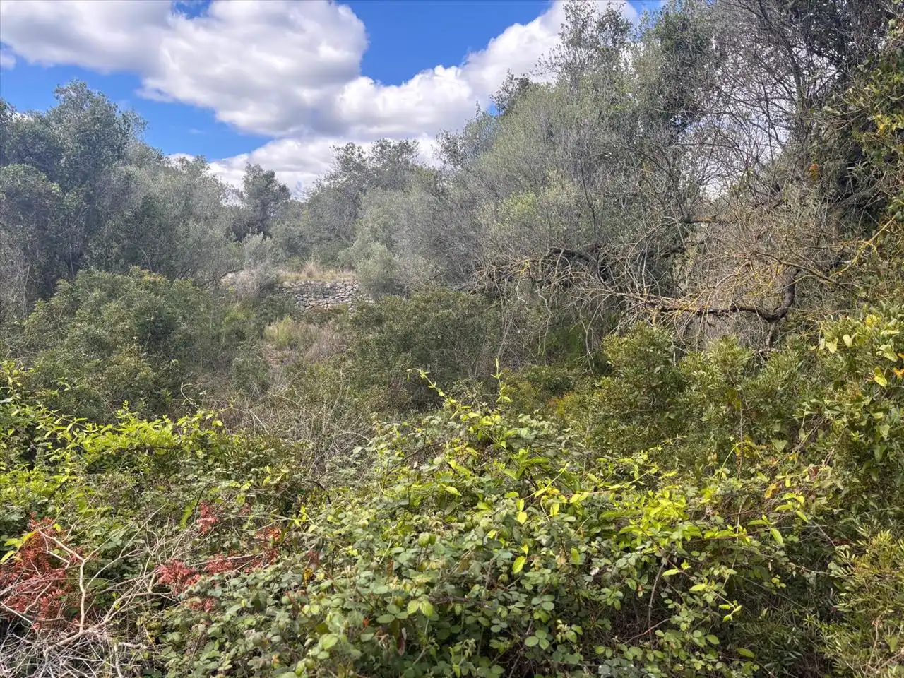 Residential land for sale in Nord, imagen 4