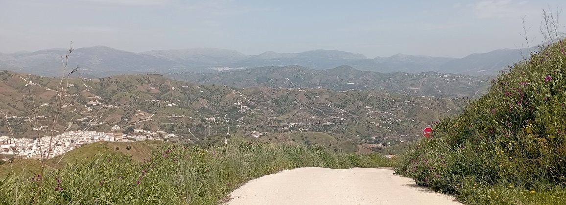 Vista exterior de Terreno en venta en Almáchar