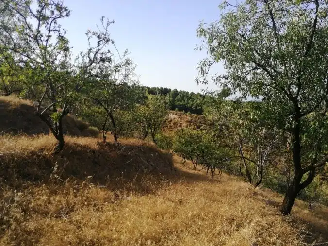 Terreni e lotti in vendita a Lecrín, imagen 19