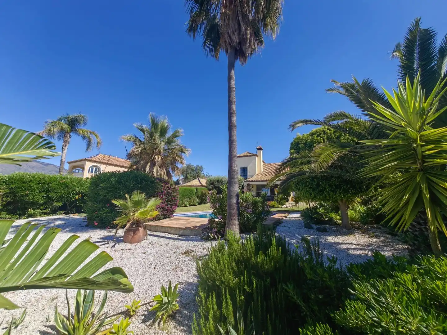 Jardí de Casa o xalet en venda en Estepona amb Aire condicionat, Jardí privat i Terrassa