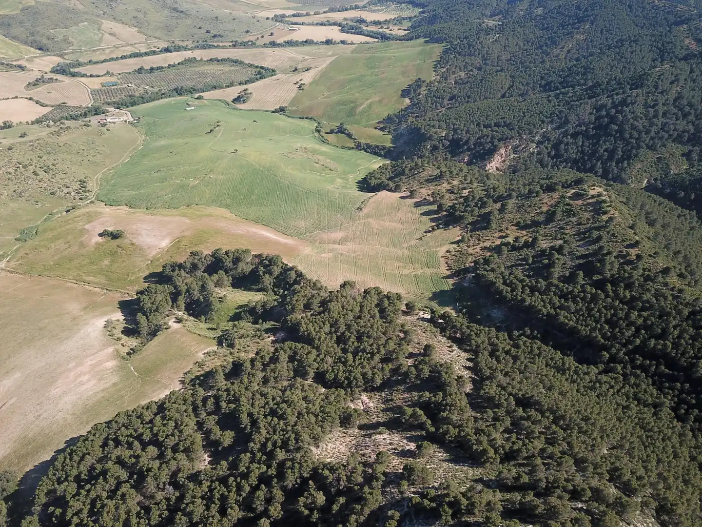 Terreno residenziale in vendita a Ardales, imagen 60