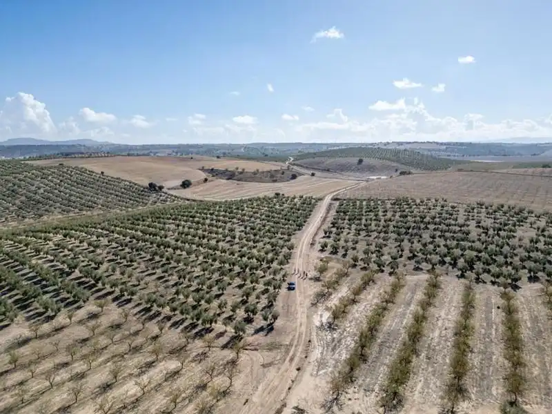 Land for sale in Alamedilla