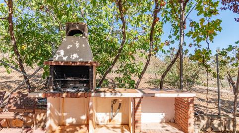 Foto 5 de Finca rústica en venda a Vereda Morollon, La Peza, Granada