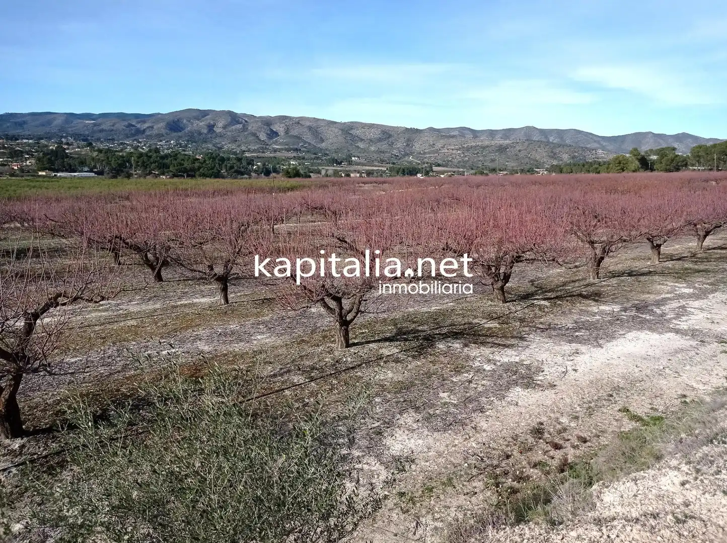 Terreno residenziale in vendita a Agullent, imagen 4