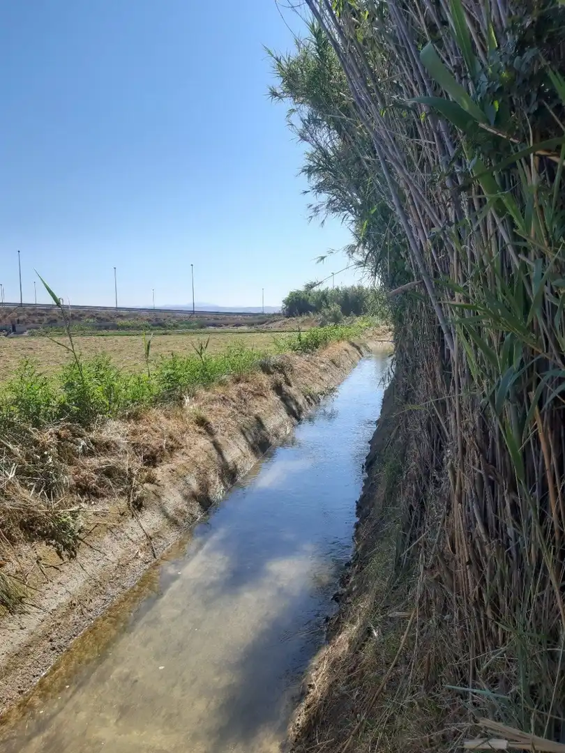 Außenansicht von Grundstücke zum Verkauf in Zaragoza