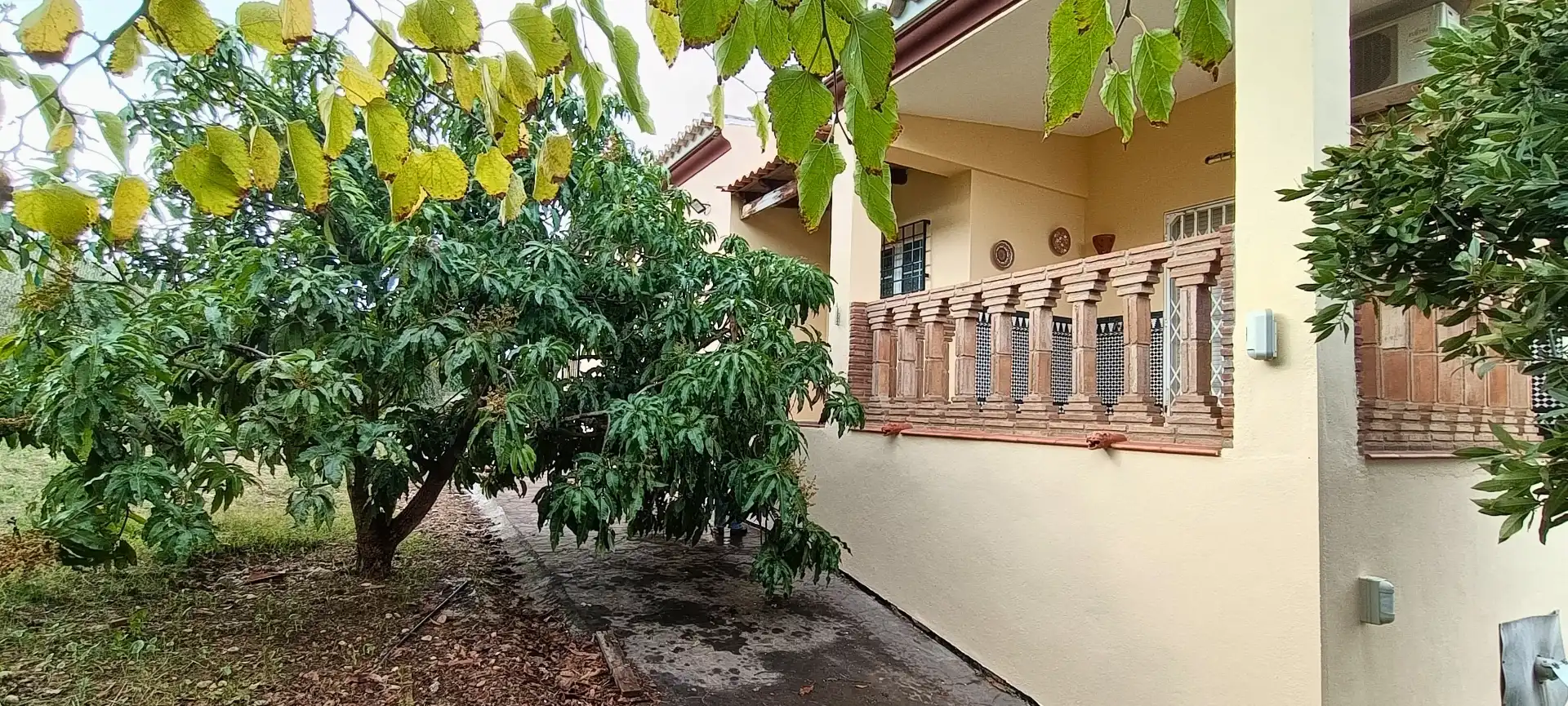 Exterior view of Houses for sale in Alhaurín de la Torre  with Private garden, Terrace and Swimming Pool