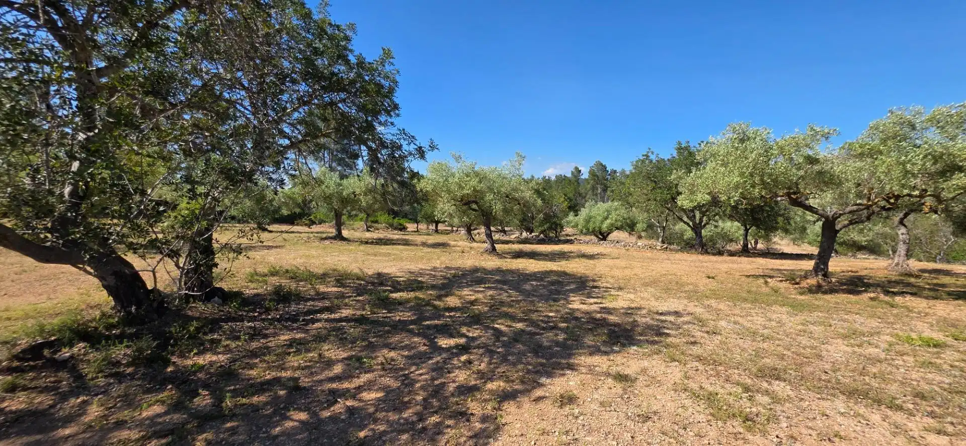 Maison rustique à vendre à Tivissa, imagen 36
