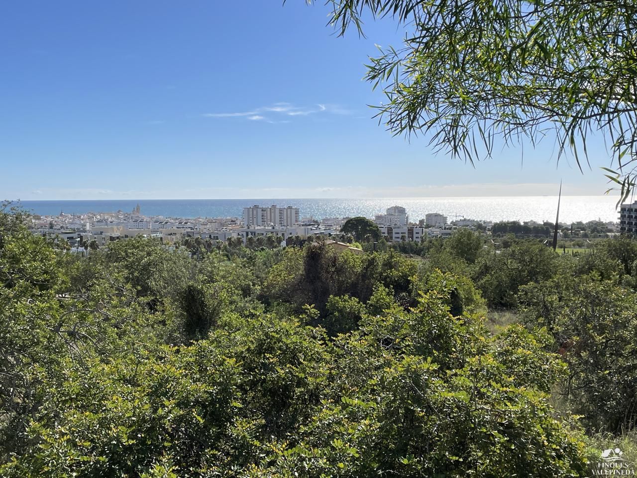 Residencial en venda a N/A, Vallpineda - Santa Bàrbara