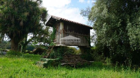 CASA CON FINCA Y ANEJOS, immagine 3