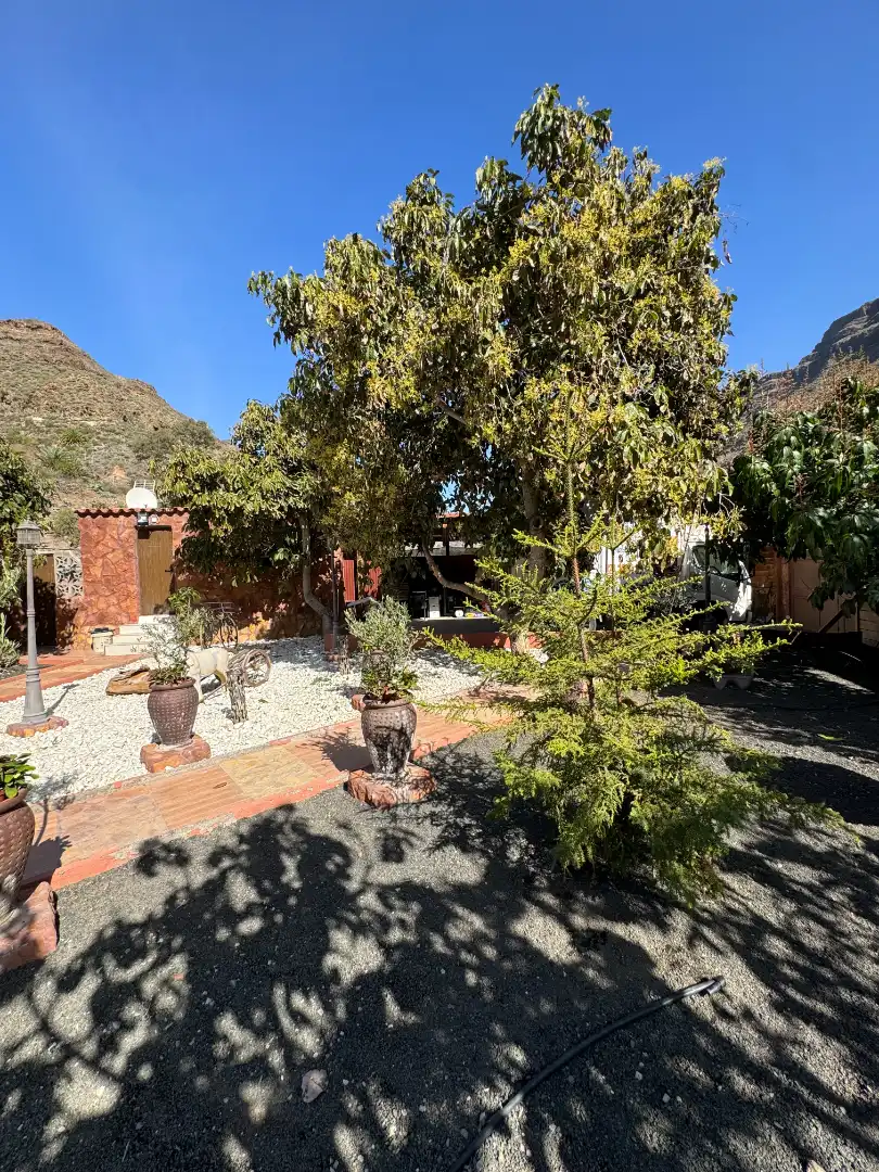 Jardí de Finca rústica en venda en San Bartolomé de Tirajana amb Aire condicionat, Jardí privat i Terrassa