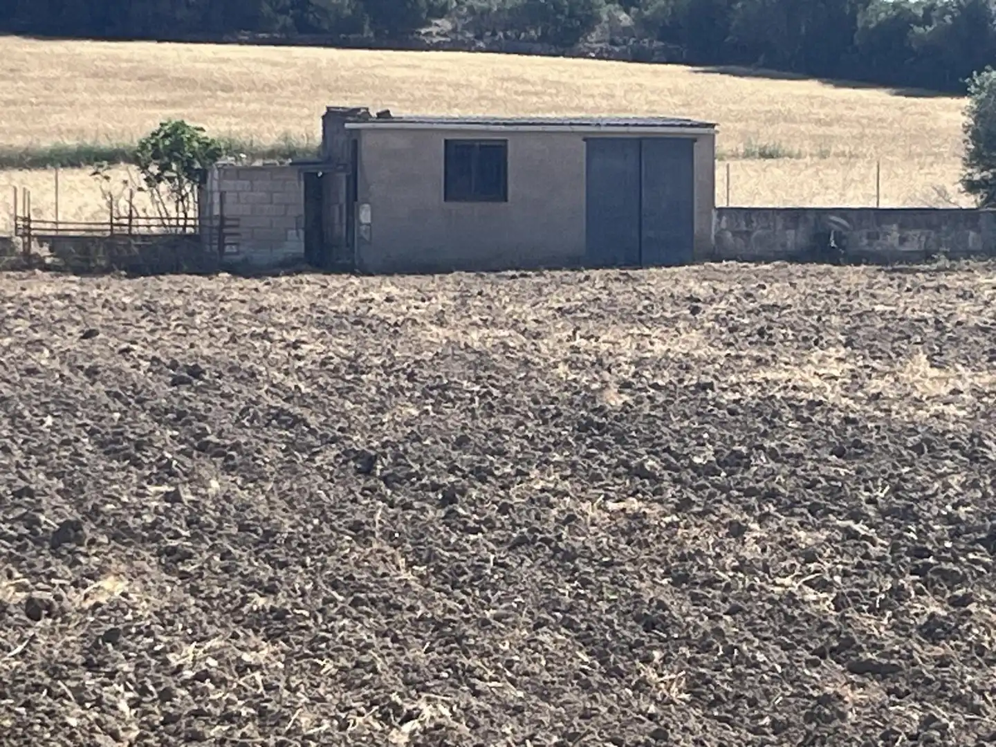 Terreny rústic en venda a Muro, imagen 10