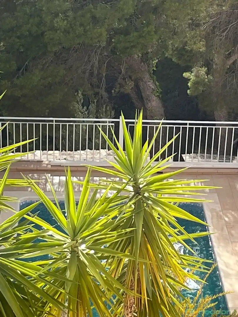 Casa con terraza en venta en C. Serrella, imagen 28