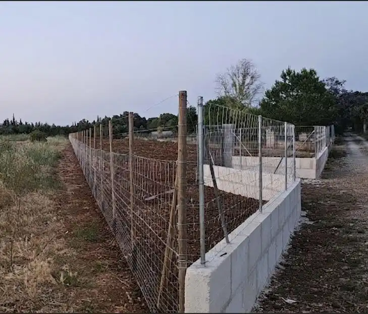 Rustikales Grundstück zum Verkauf in Llubí, imagen 5