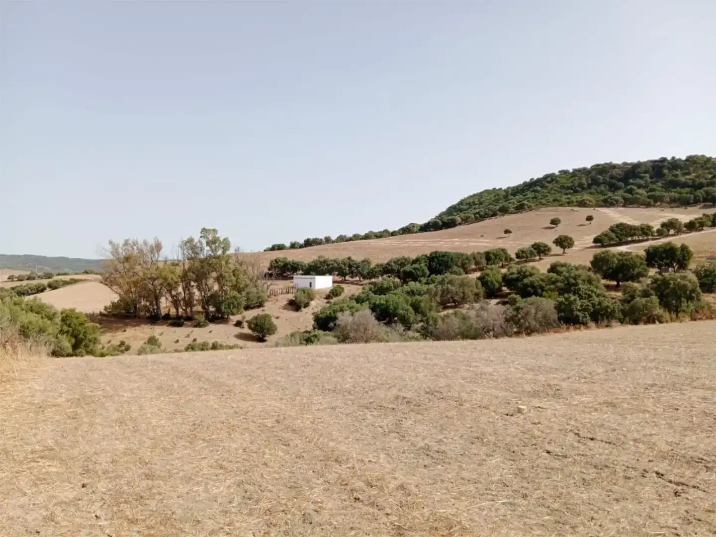 Country house zum Verkauf in Vejer de la Frontera