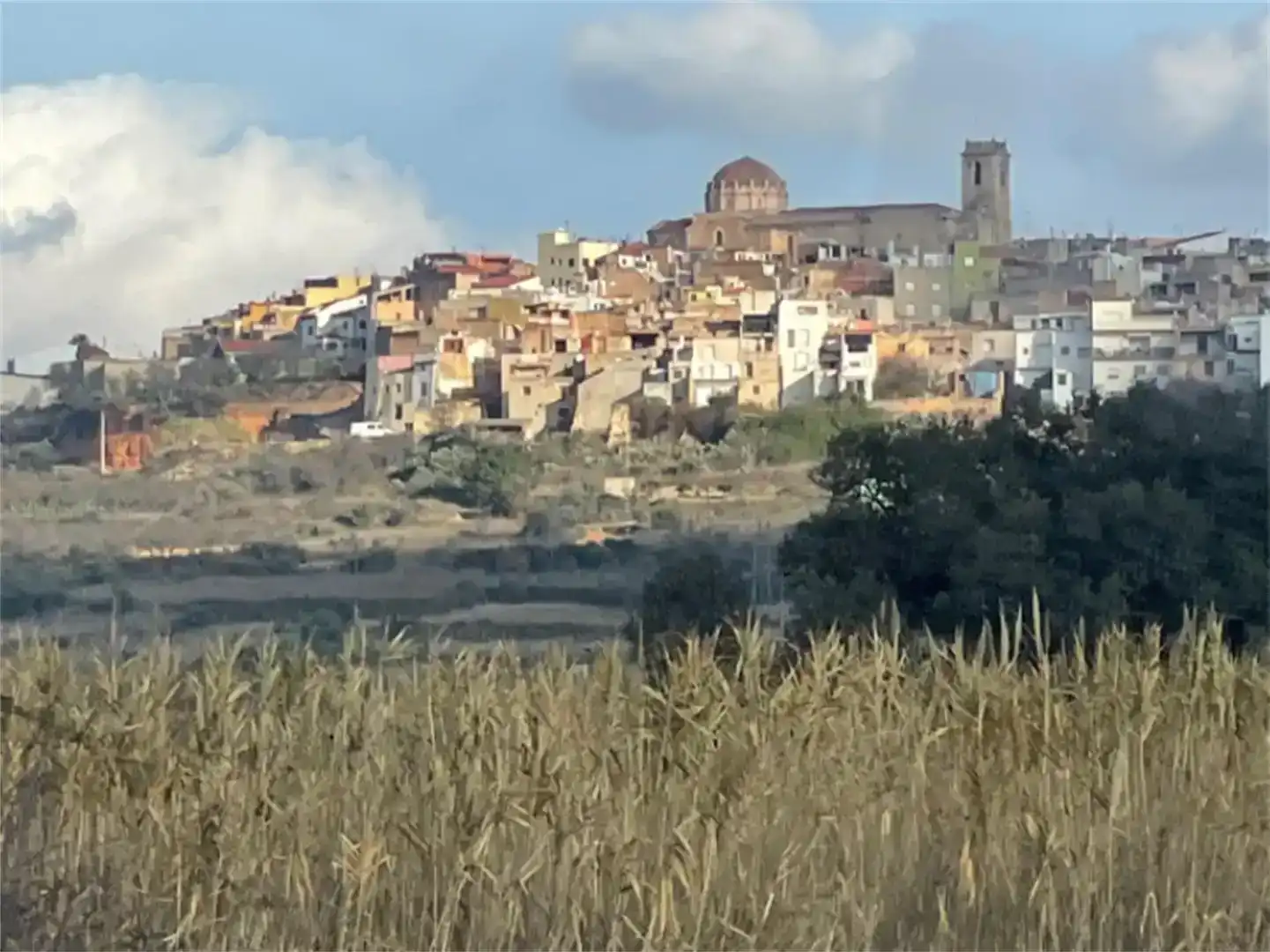 Vista exterior de Finca rústica en venda en Canet lo Roig amb Balcó