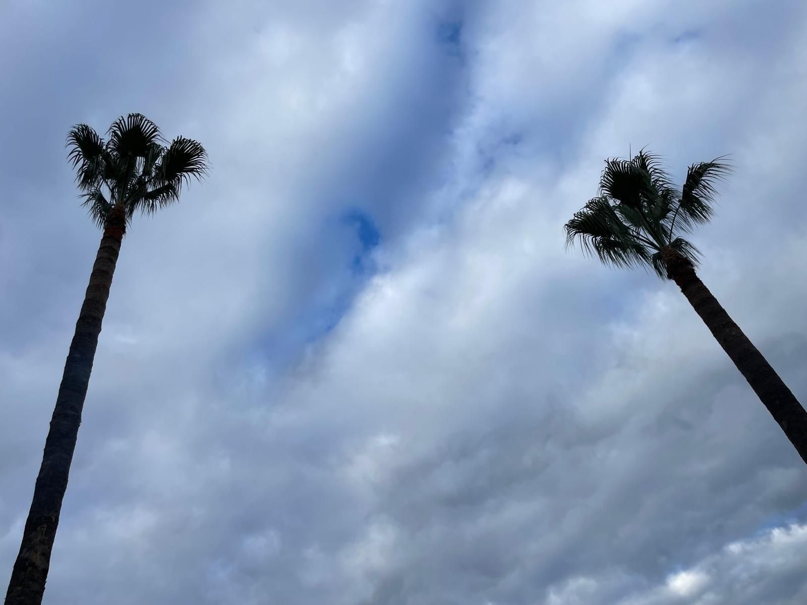 Exterior view of Country house for sale in Burguillos  with Private garden and Swimming Pool