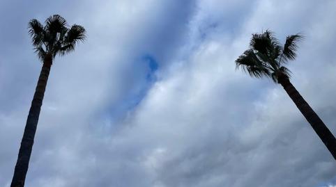 Foto 2 de Finca rústica en venda a Burguillos, Sevilla