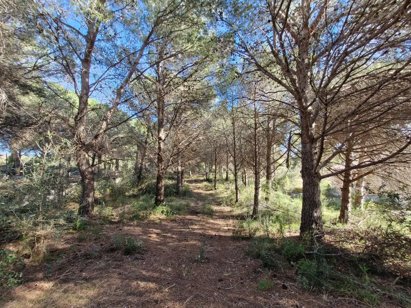 Residential for sale in L'Albiol