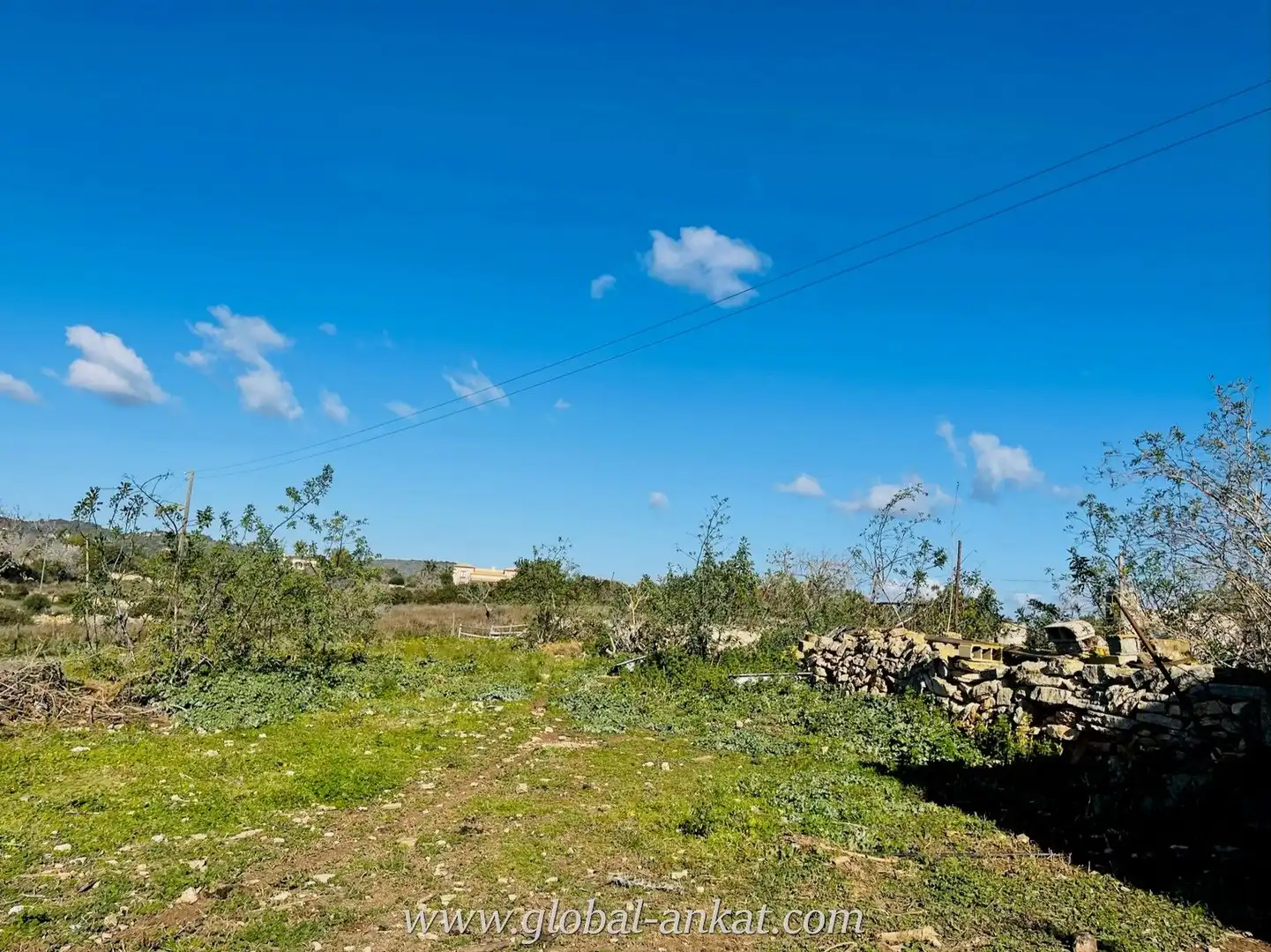 Finca rústica en venta en Manacor