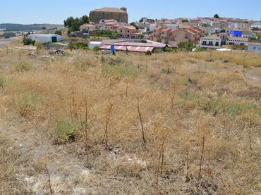Terreno residencial en venta en Belinchón
