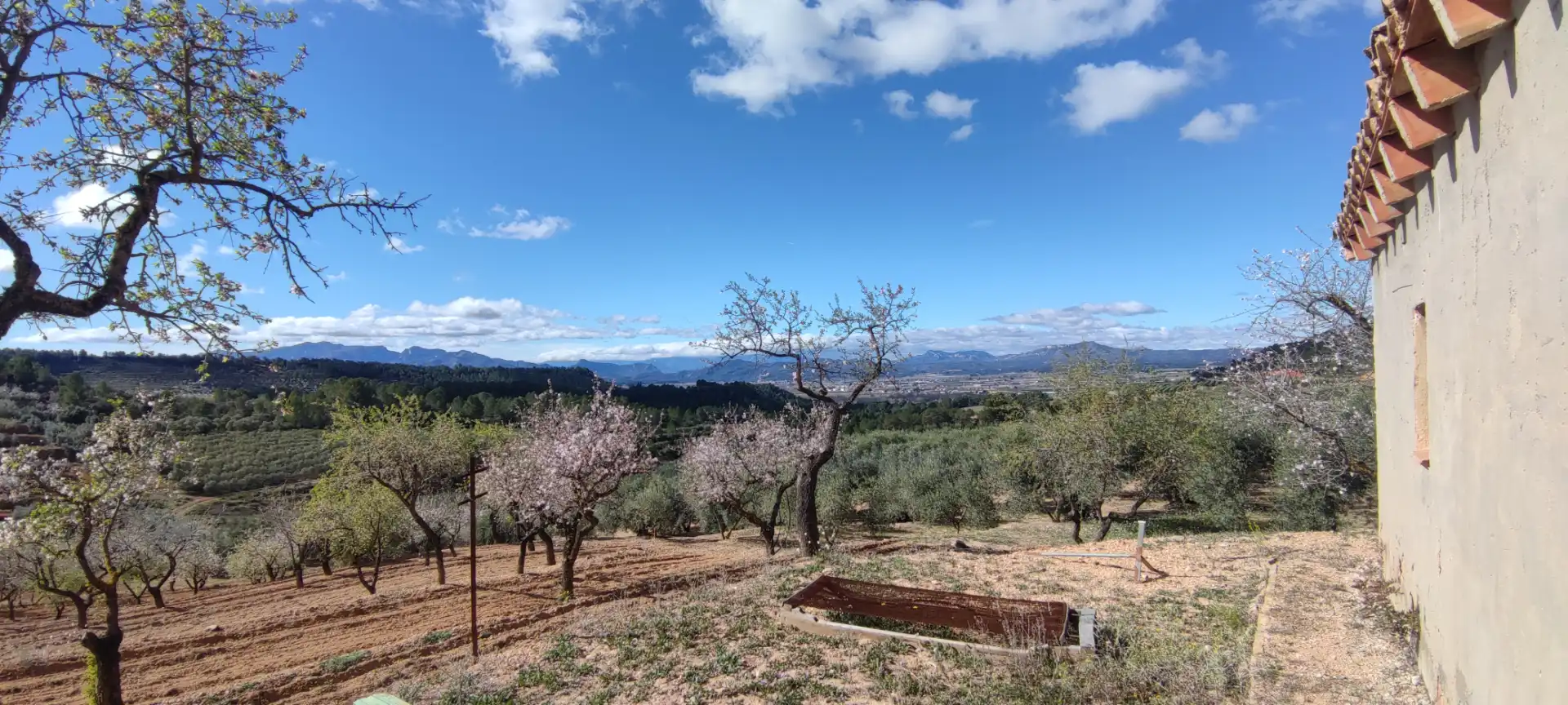 Rural land for sale in Carrer de la Muntanya 3, imagen 4