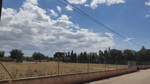 Foto 3 de Terreno en venta en Avinguda de Gabriel Alomar, 168, El Sindicat, Palma de Mallorca