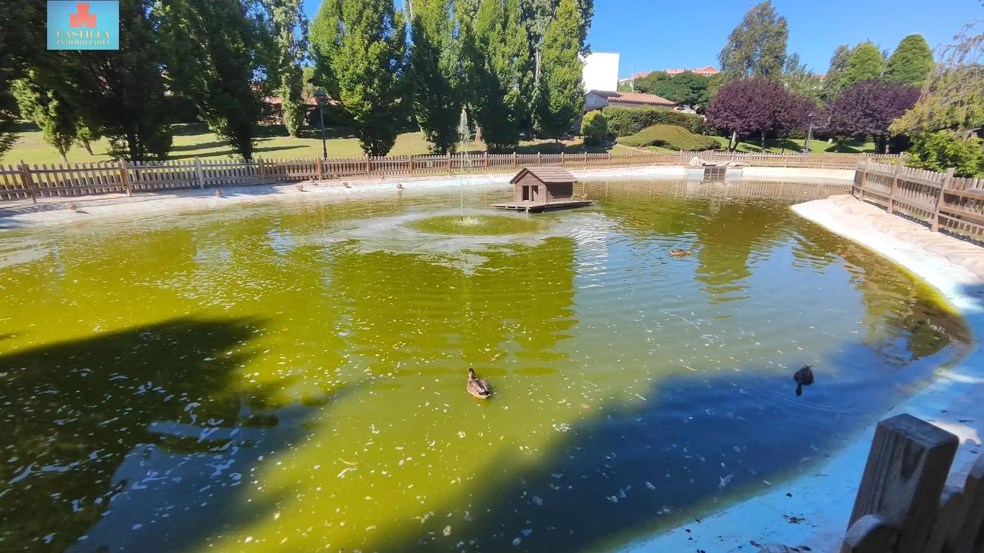 Piscina de Piso en venta en Ávila con Calefacción, Jardín privado y Trastero