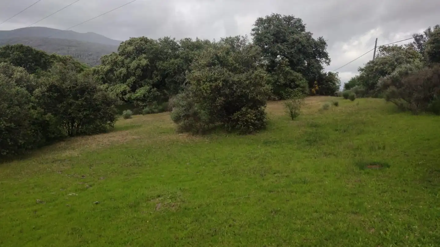 Terreni e lotti in vendita a Valle del Jerte, imagen 4