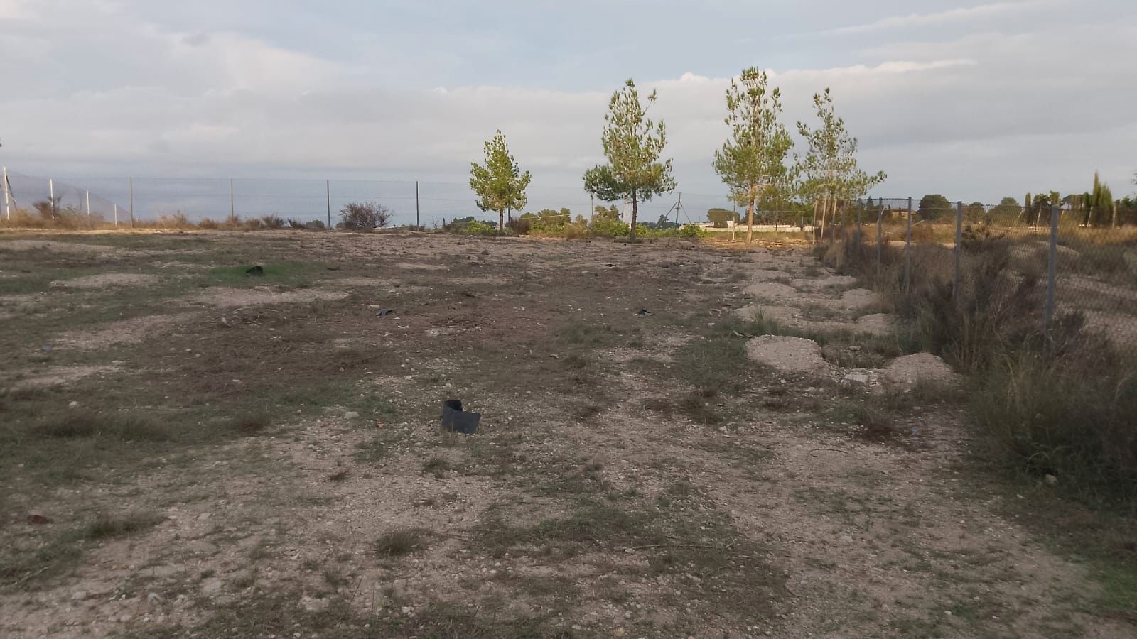 Land for sale in Molina de Segura