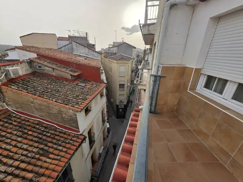 Pis amb jardí en venda a Centro Ciudad, imagen 22