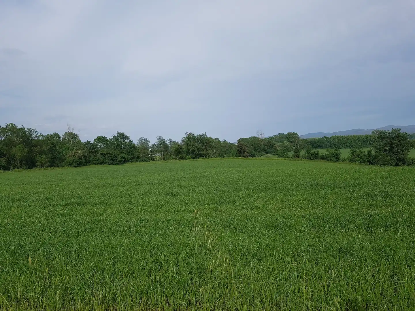 Finca rústica en venta en Pinós
