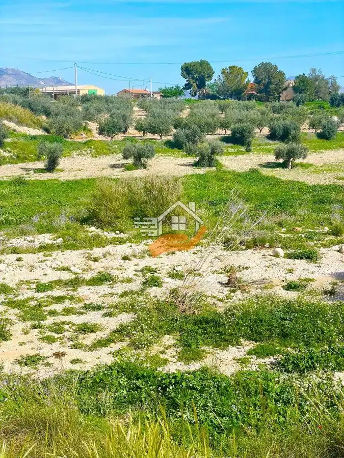 Lands and plots for sale in Pedanías Norte, imagen 8