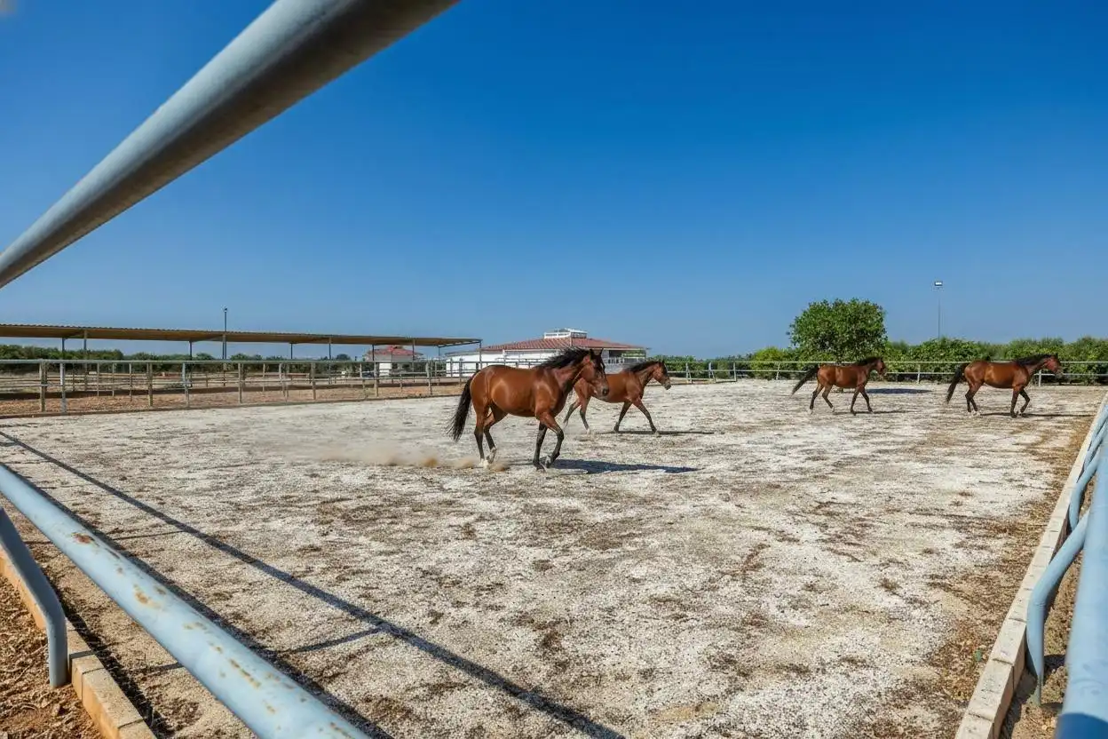 Vista exterior de Finca rústica en venta en Carmona con Calefacción, Jardín privado y Terraza