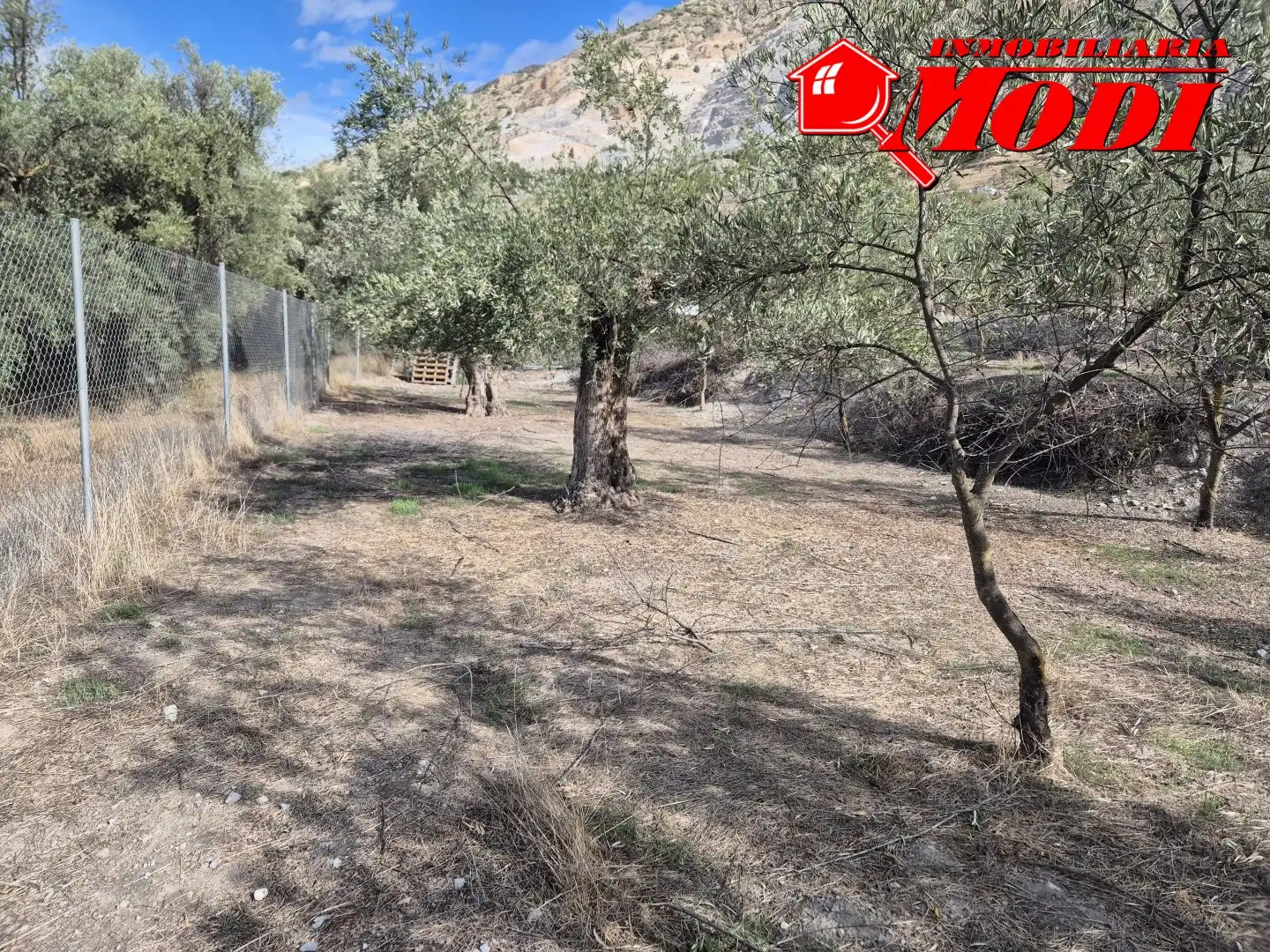Lands and plots for sale in Dúrcal, imagen 8