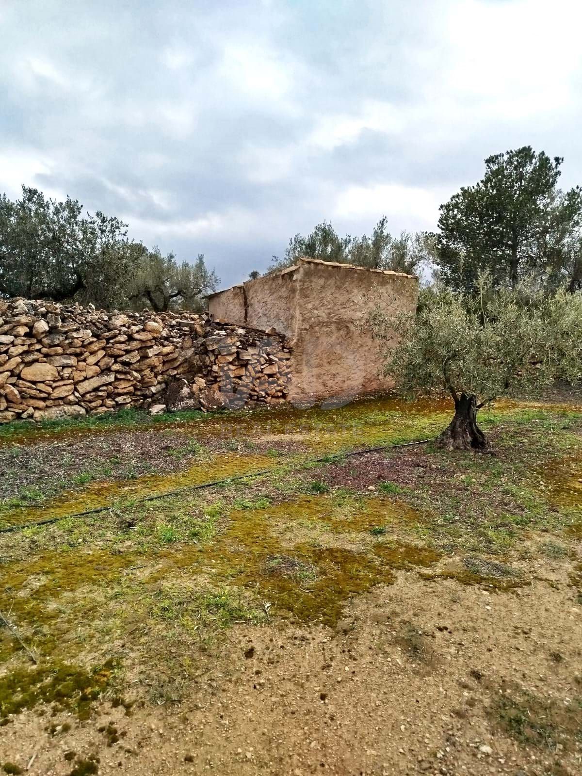 Residential for sale in Ginestar