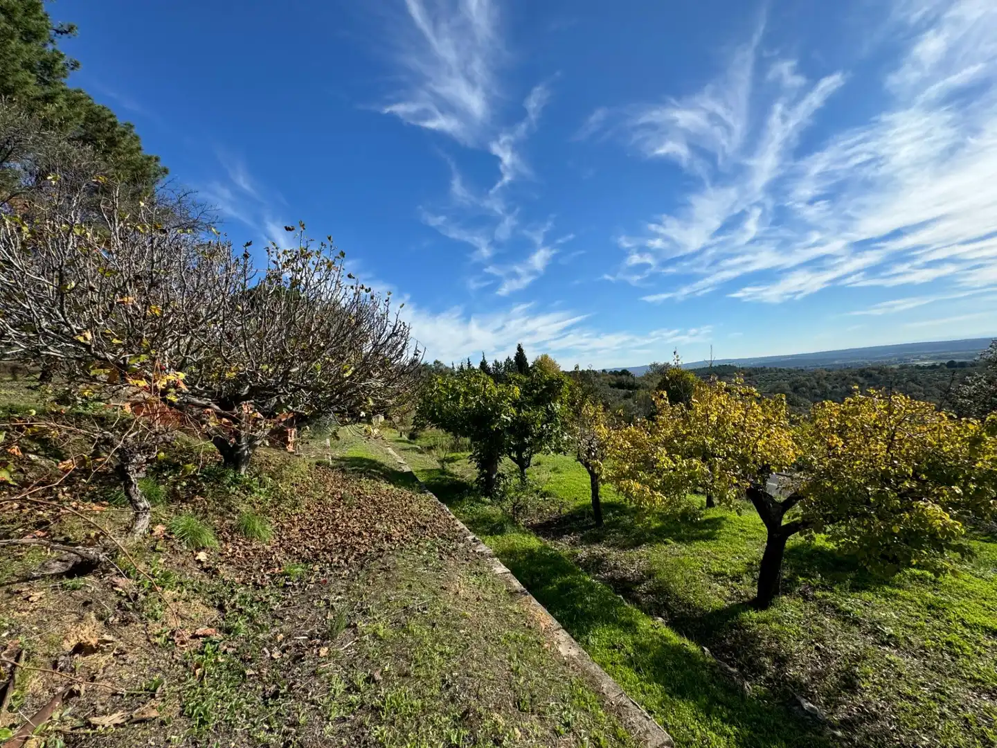 Finca rústica en venta en Candeleda con Jardín privado