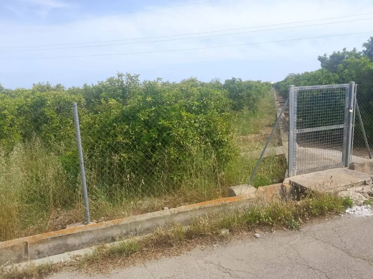 Rural land for sale in Camino Torre de los Pares, imagen 7