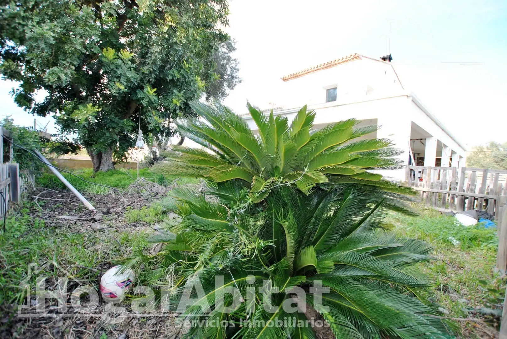 Jardí de Casa o xalet en venda en Oliva amb Aire condicionat, Jardí privat i Terrassa