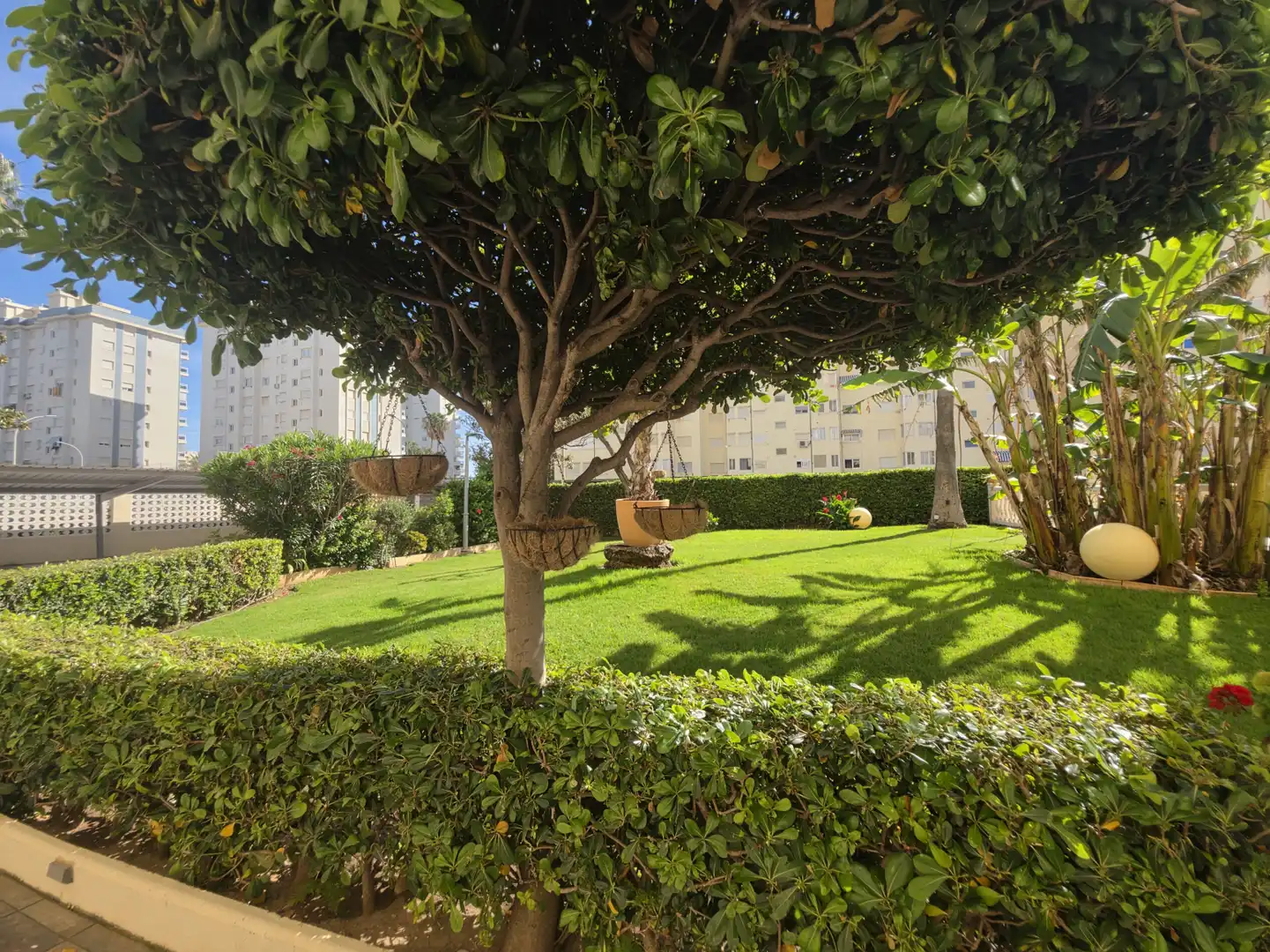 Jardí de Pis en venda en Gandia amb Aire condicionat, Calefacció i Jardí privat