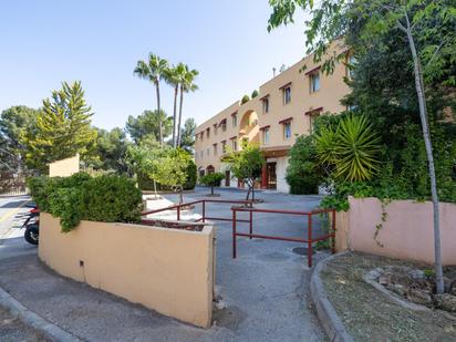 Vista exterior de Estudi en venda en  Granada Capital amb Jardí privat, Terrassa i Balcó