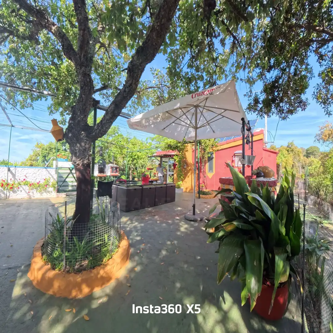 Terraza de Terreno en venta en Berrocal