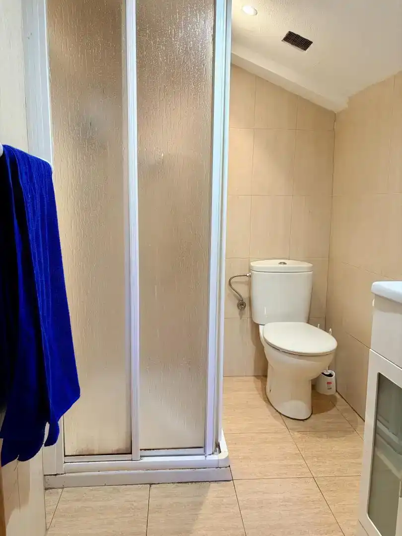 Baño de Casa o chalet en venta en Cangas del Narcea