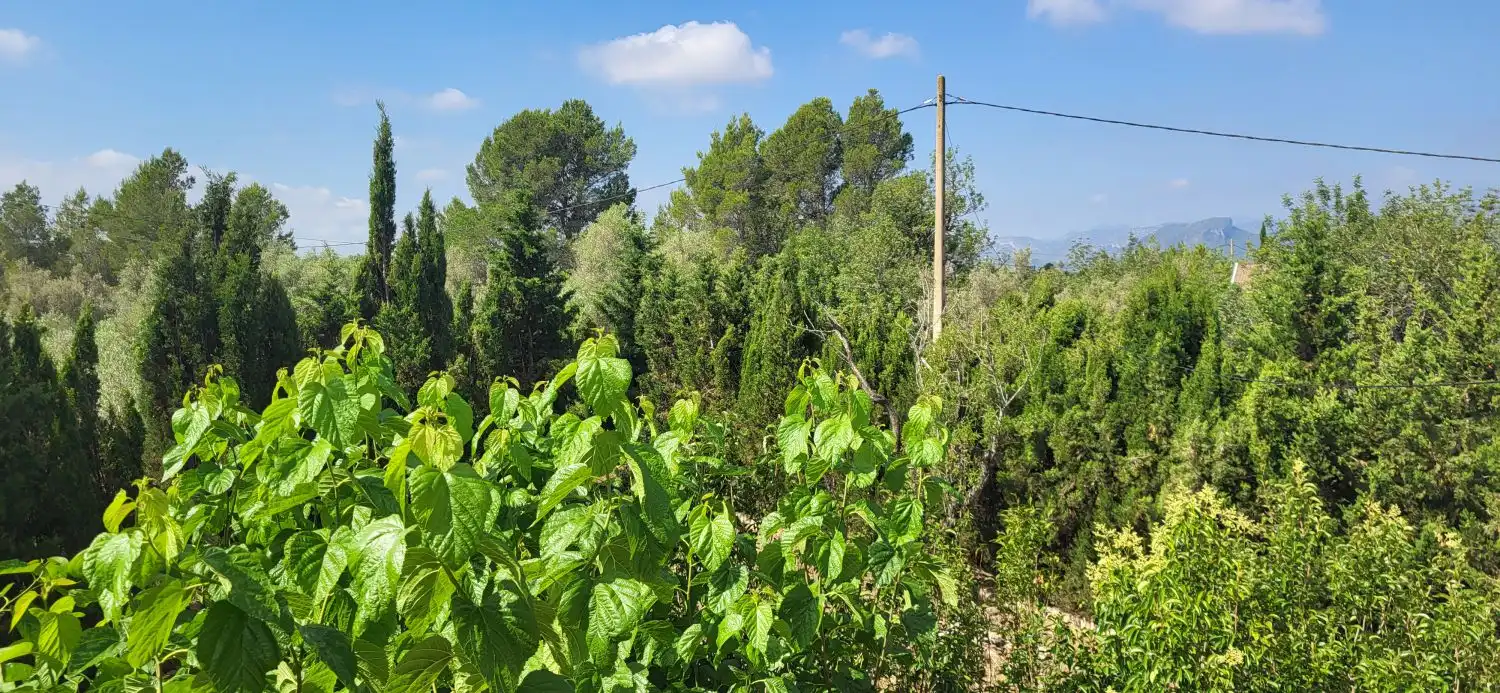 Houses for sale in Roquetes  with Private garden, Terrace and Storage room