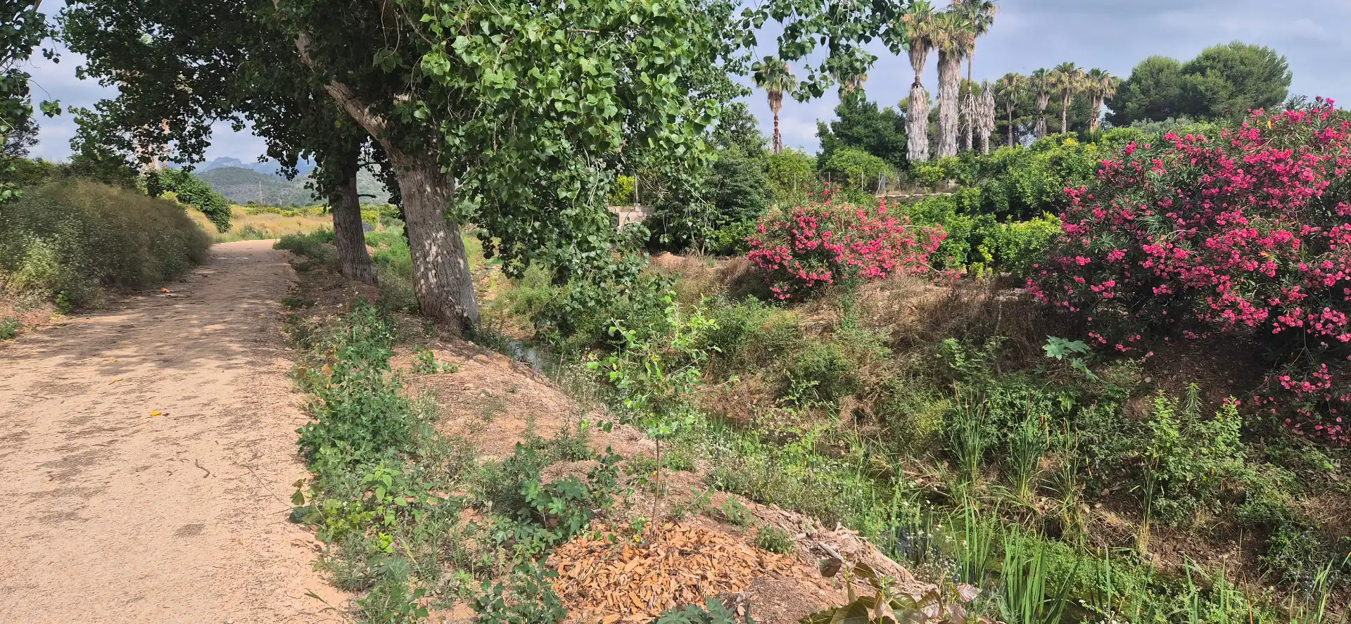 Finca rústica en venda en Gandia amb Jardí privat, Terrassa i Moblat