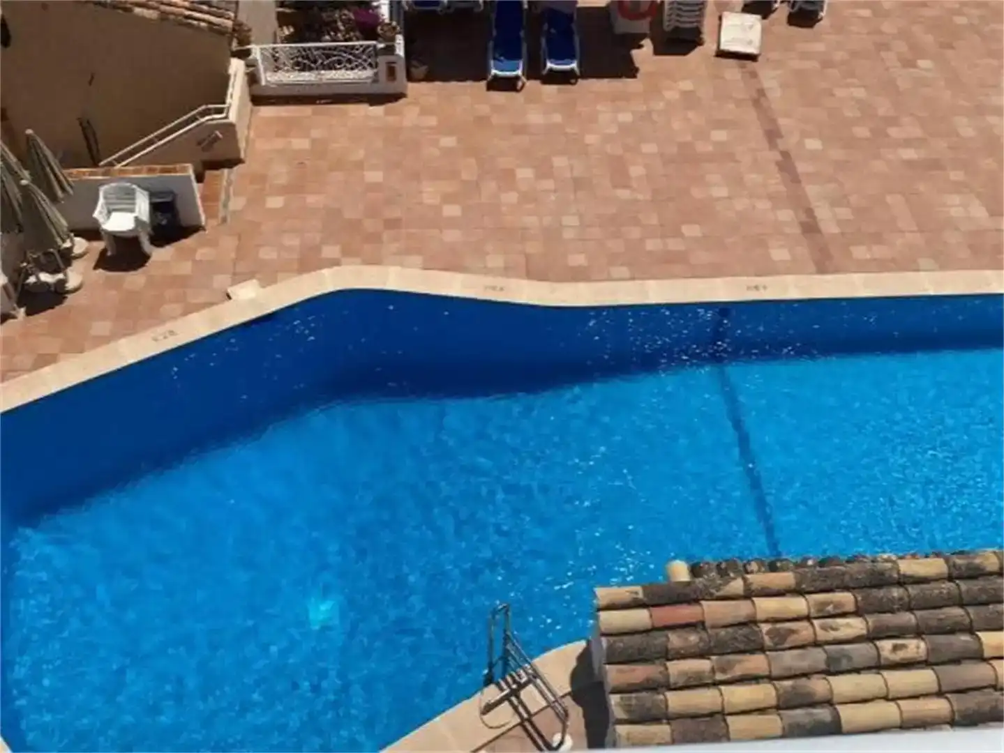 Swimming pool of Flat for sale in Calvià