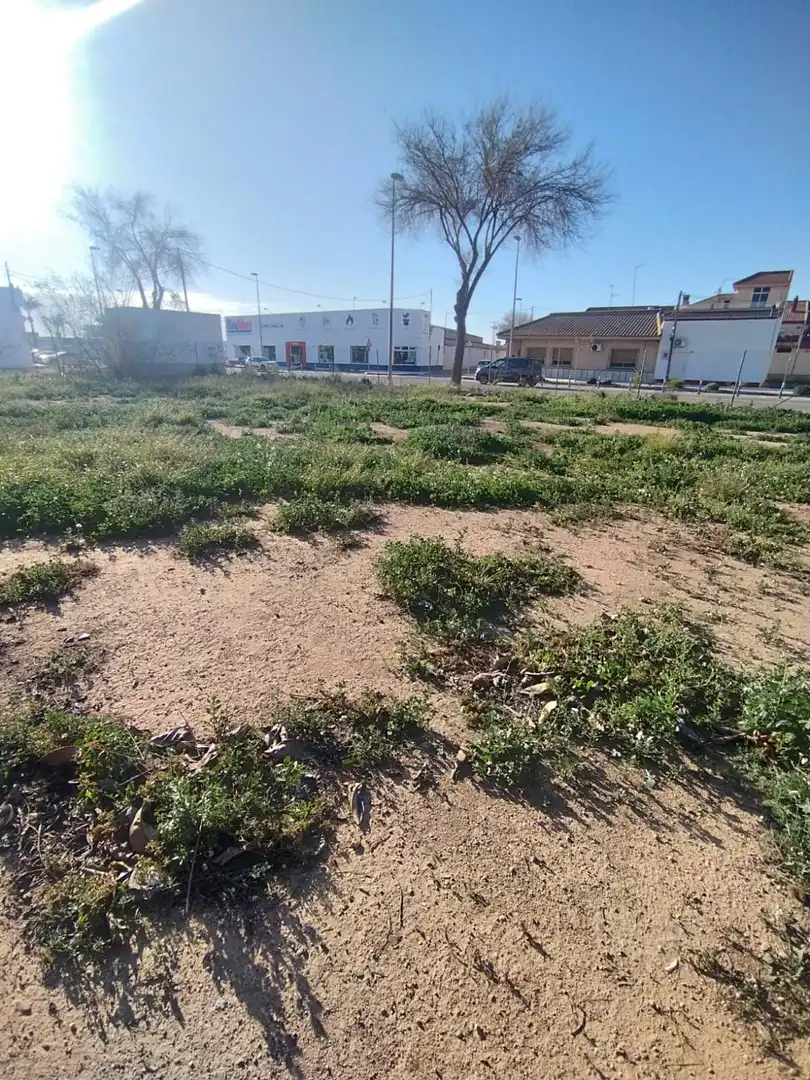 Lands and plots for sale in Avenida de Los Alcázares 72, imagen 7