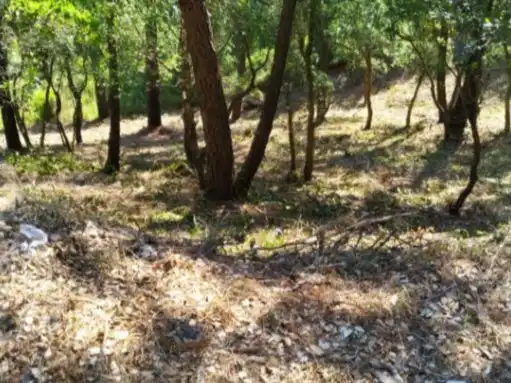 Residential land for sale in Carrer Cerdanya 56, imagen 5